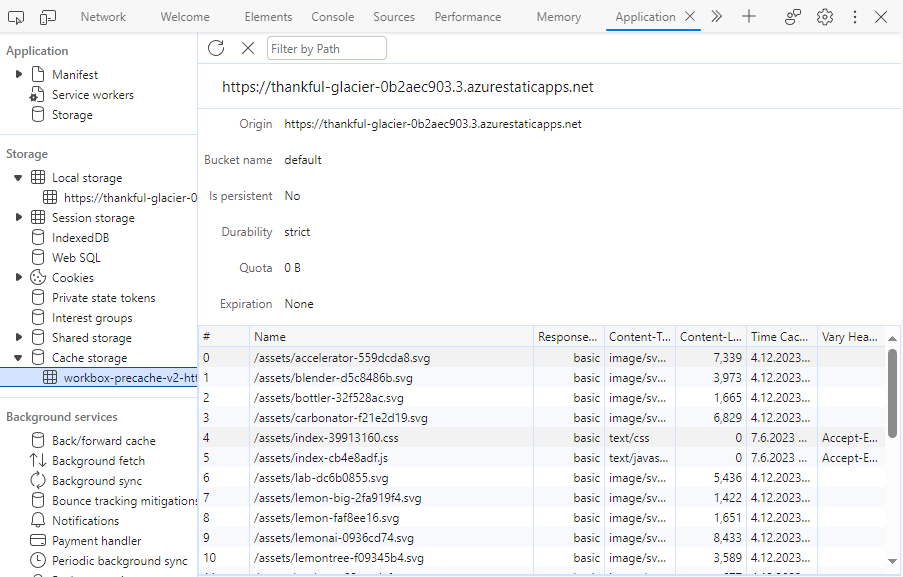 Application-välilehden Cache storage -osio